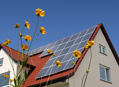 Solarzellen auf Hausdach Blumen im Vordergrund